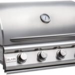 Blaze Prelude LBM 32-Inch 4-Burner Built-in Natural Gas Stainless Steel Grill with Flame-Stabilizing Grids, Heat Zone Separators, Drip Tray and Hood  Patio, Lawn & Garden
