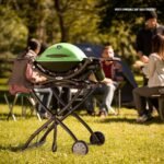 Weber Q1200 Liquid Propane Grill, Green  Patio, Lawn & Garden - Image 23