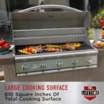 Bull Outdoor Products BBQ 47628 Angus 75,000 BTU Grill Head, LP, 304 Stainless Steel, 4 Burners, 810 sq. Inches, Twin Lights, Rotisserie Kit - Image 20