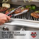 Bull Outdoor Products BBQ 47628 Angus 75,000 BTU Grill Head, LP, 304 Stainless Steel, 4 Burners, 810 sq. Inches, Twin Lights, Rotisserie Kit - Image 22